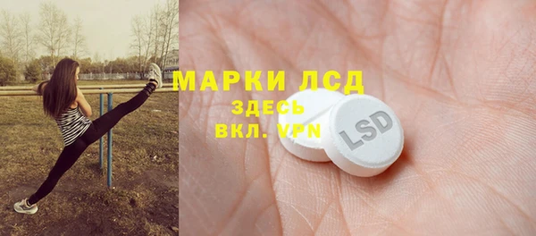 индика Михайловск