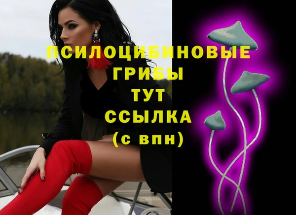 тгк Пересвет