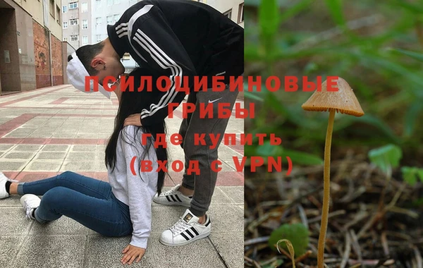 твердый Михайлов