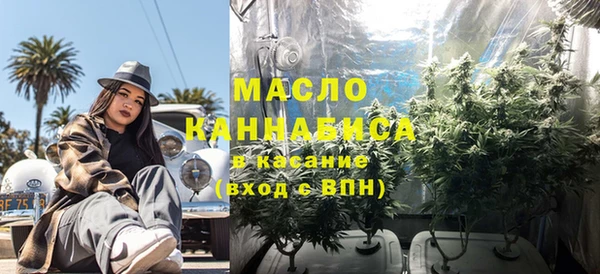 индика Михайловск