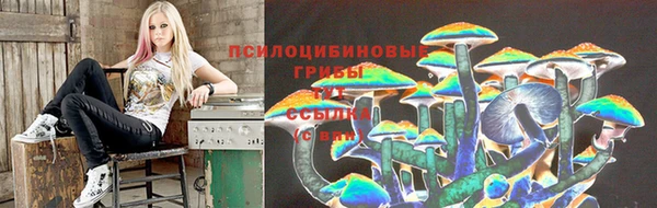 твердый Михайлов