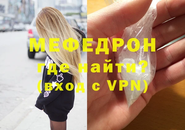 индика Михайловск