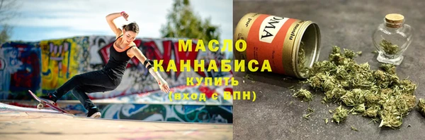 индика Михайловск