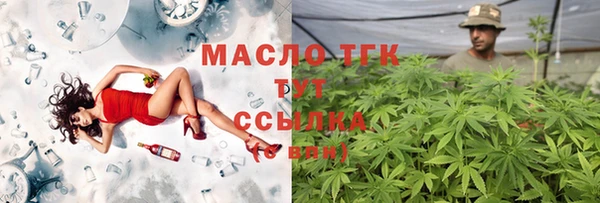 молекула духа Медногорск